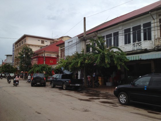 Trees dimple the landscape