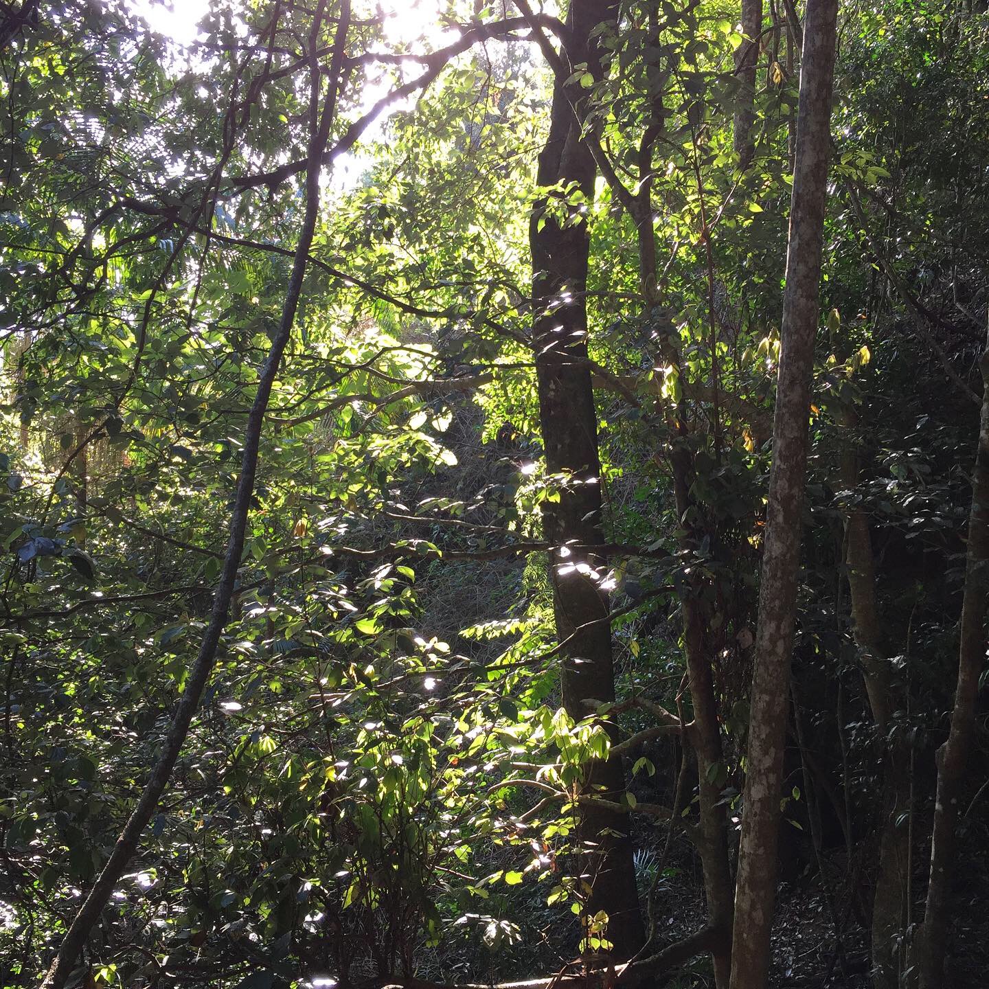 0D248445-67E6-416F-9954-FF4B1335D309 (1).JPG